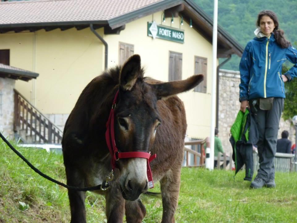 B&B Casabasoti Valli del Pasubio Exteriér fotografie