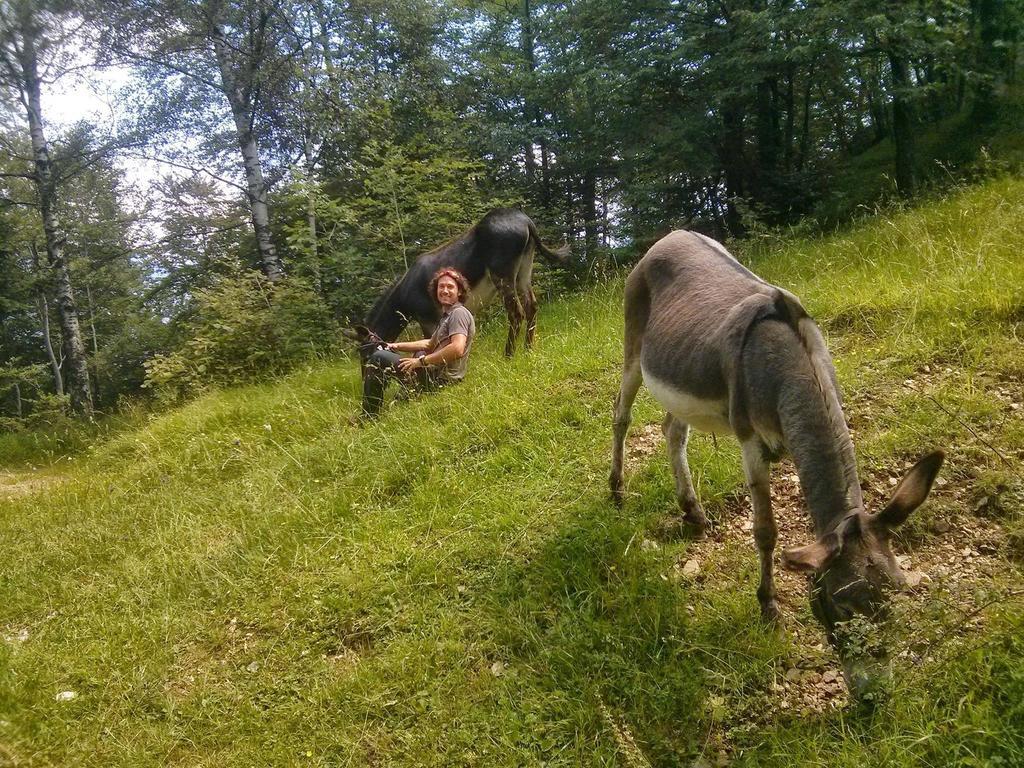 B&B Casabasoti Valli del Pasubio Exteriér fotografie