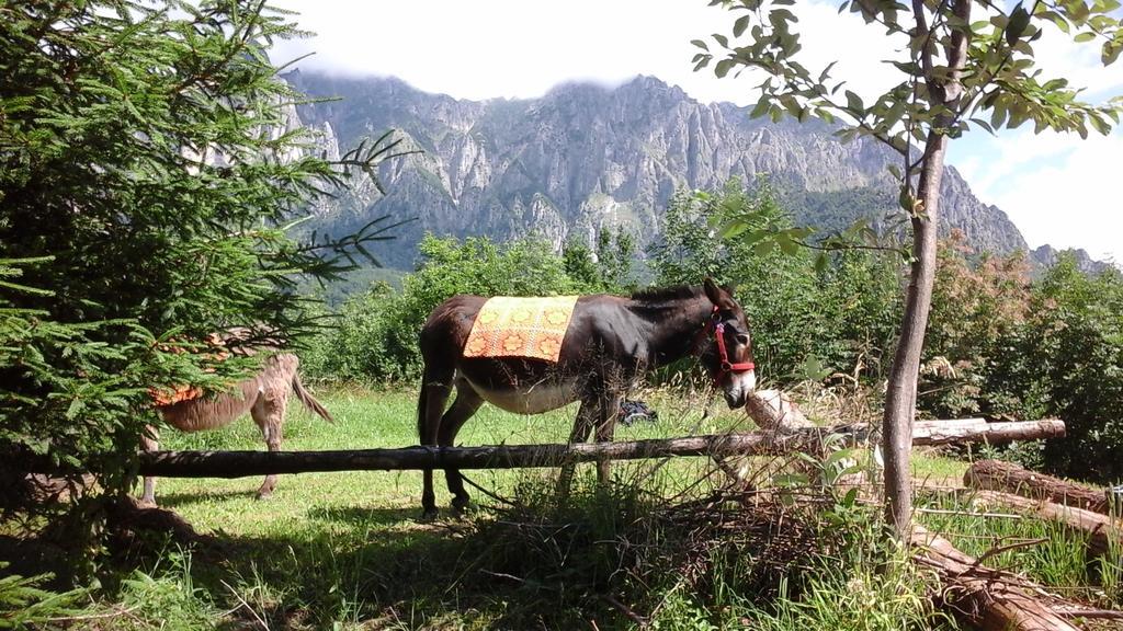 B&B Casabasoti Valli del Pasubio Exteriér fotografie